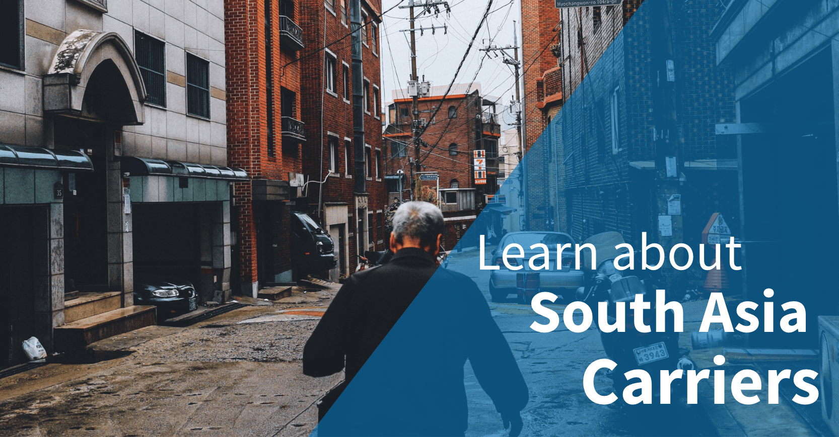 South Asia Carriers Banner